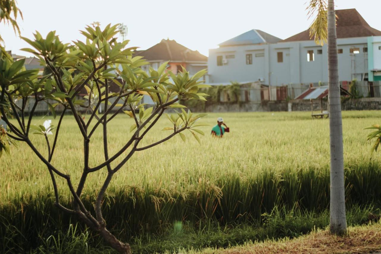 Hotel Mandari Buleleng Exterior foto